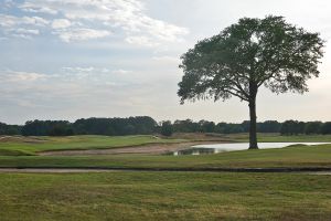 Bulls Bay 16th